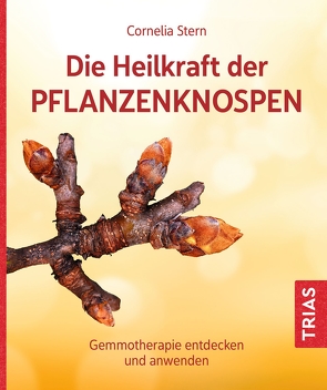 Die Heilkraft der Pflanzenknospen von Stern,  Cornelia