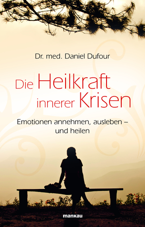 Die Heilkraft innerer Krisen von Dufour,  Daniel