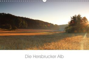 Die Hersbrucker Alb (Wandkalender 2019 DIN A3 quer) von Tauber,  Sebastian