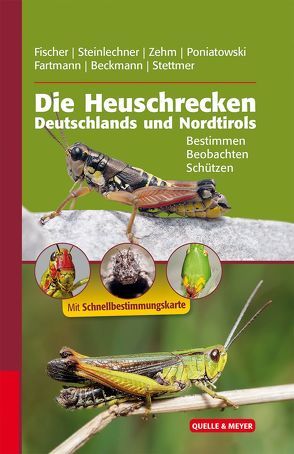 Die Heuschrecken Deutschlands und Nordtirols von Bayerische Akademie für Naturschutz und Landschaftspflege (ANL), Beckmann,  Armin, Fartmann,  Thomas, Fischer,  Jürgen, Poniatowski,  Dominik, Steinlechner,  Daniela, Stettmer,  Christian, Zehm,  Andreas