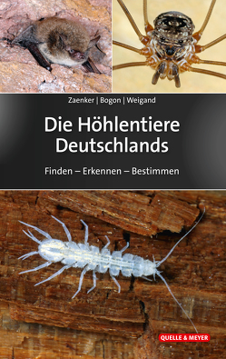 Die Höhlentiere Deutschlands von Bogon,  Klaus, Weigand,  Alexander, Zaenker,  Stefan