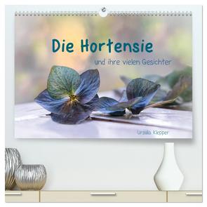 Die Hortensie und ihre vielen Gesichter (hochwertiger Premium Wandkalender 2024 DIN A2 quer), Kunstdruck in Hochglanz von Klepper,  Ursula