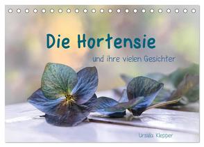 Die Hortensie und ihre vielen Gesichter (Tischkalender 2024 DIN A5 quer), CALVENDO Monatskalender von Klepper,  Ursula