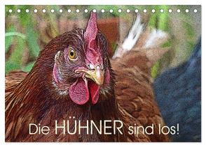 Die Hühner sind los! (Tischkalender 2024 DIN A5 quer), CALVENDO Monatskalender von M. Laube,  Lucy