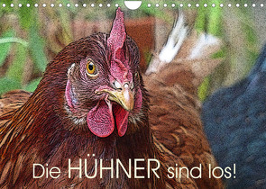 Die Hühner sind los! (Wandkalender 2023 DIN A4 quer) von M. Laube,  Lucy