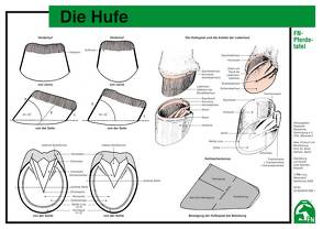 Die Hufe von Hertsch,  Bodo, Spenlen,  Uwe