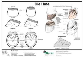 Die Hufe von Hertsch,  Bodo, Spenlen,  Uwe