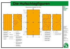 Die Hufschlagfiguren von Deutsche Reiterliche Vereinigung e.V. (FN), Deutsche Reiterliche Vereinigung e.V. (FN) - Bereich Sport,  Abt. Ausbildung, Spenlen,  Uwe