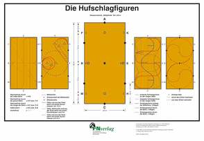 Die Hufschlagfiguren von Lockert,  Ute, Rieder,  Ulrike