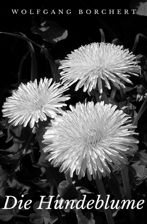 Die Hundeblume von Borchert,  Wolfgang