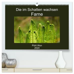 Die im Schatten wachsen – Farne (hochwertiger Premium Wandkalender 2024 DIN A2 quer), Kunstdruck in Hochglanz von Won,  Pörli