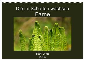 Die im Schatten wachsen – Farne (Wandkalender 2024 DIN A2 quer), CALVENDO Monatskalender von Won,  Pörli