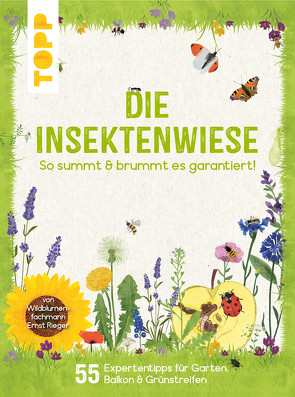 Die Insektenwiese: So summt & brummt es garantiert! von Rieger,  Ernst