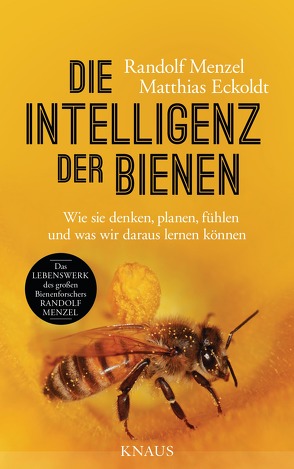 Die Intelligenz der Bienen von Eckoldt,  Matthias, Menzel,  Randolf