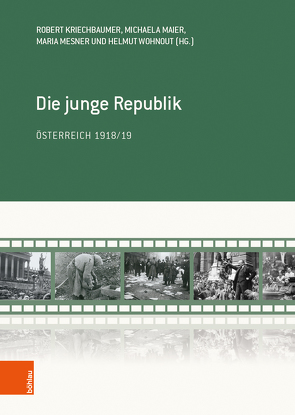 Die junge Republik von Bader-Zaar,  Birgitta, Bruckmüller,  Ernst, Burger,  Hannelore, Fiedler,  Harald, Haas,  Hanns, Hanisch,  Ernst, Hauch,  Gabriella, Helfert,  Veronika, Kriechbaumer,  Robert, Maderthaner,  Wolfgang, Maier,  Michaela, Mesner,  Maria, Murber,  Ibolya, Olechowski,  Thomas, Rebhan,  Hanno, Weigl,  Andreas, Wohnout,  Helmut