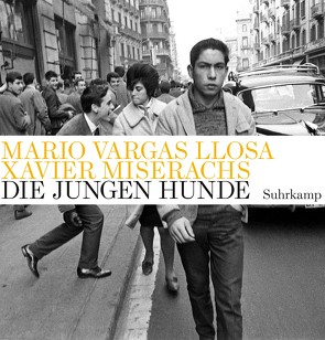 Die jungen Hunde von Lange,  Susanne, Vargas Llosa,  Mario