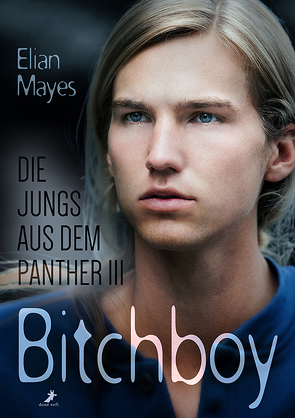 Die Jungs aus dem Panther 3: Bitchboy von Mayes,  Elian