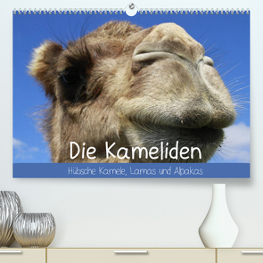 Die Kameliden. Hübsche Kamele, Lamas und Alpakas (Premium, hochwertiger DIN A2 Wandkalender 2022, Kunstdruck in Hochglanz) von Stanzer,  Elisabeth