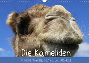 Die Kameliden. Hübsche Kamele, Lamas und Alpakas (Wandkalender 2022 DIN A3 quer) von Stanzer,  Elisabeth