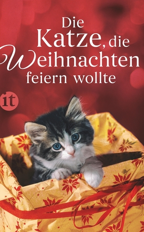 Die Katze, die Weihnachten feiern wollte von Dammel,  Gesine