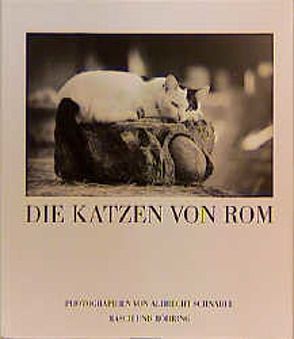 Die Katzen von Rom von Schnabel,  Albrecht