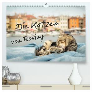 Die Katzen von Rovinj (hochwertiger Premium Wandkalender 2024 DIN A2 quer), Kunstdruck in Hochglanz von Gross,  Viktor