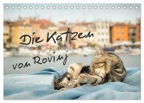 Die Katzen von Rovinj (Tischkalender 2024 DIN A5 quer), CALVENDO Monatskalender von Gross,  Viktor