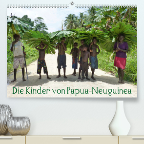 Die Kinder von Papua Neuguinea (Premium, hochwertiger DIN A2 Wandkalender 2020, Kunstdruck in Hochglanz) von Hähnke und Peter Möller,  André