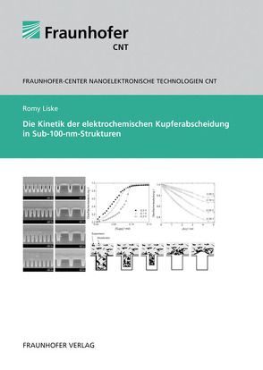 Die Kinetik der elektrochemischen Kupferabscheidung in Sub-100-nm-Strukturen. von Liske,  Romy