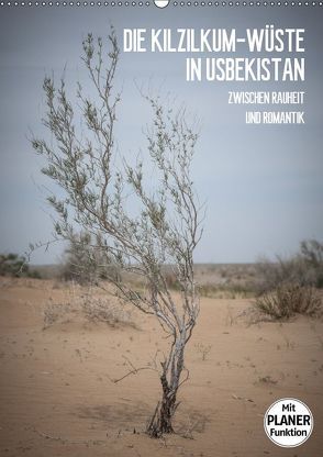 Die Kizilkum-Wüste in Usbekistan – Zwischen Rauheit und Romantik (Wandkalender 2019 DIN A2 hoch) von Dobrindt,  Jeanette