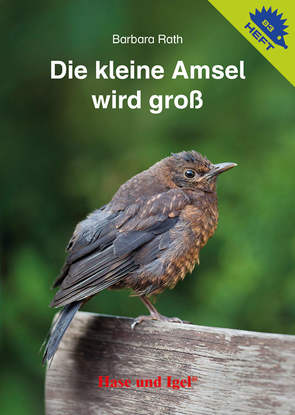 Die kleine Amsel wird groß / Igelheft 83 von Rath,  Barbara