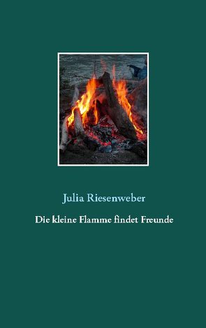 Die kleine Flamme findet Freunde von Riesenweber,  Julia