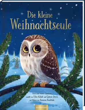 Die kleine Weihnachtseule von Kalish,  Ellen, Kaulitzki,  Ramona, Sterer,  Gideon, Zeltner-Shane,  Henriette