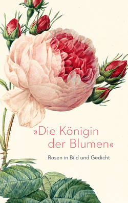 »Die Königin der Blumen« von Hoffmeier,  Eva