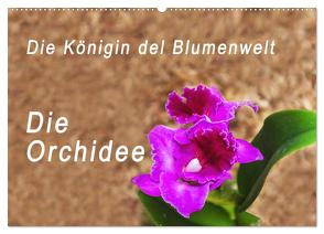 Die Königin der Blumenwelt, die Orchidee (Wandkalender 2024 DIN A2 quer), CALVENDO Monatskalender von Rosenthal,  Peter