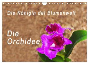 Die Königin der Blumenwelt, die Orchidee (Wandkalender 2024 DIN A4 quer), CALVENDO Monatskalender von Rosenthal,  Peter