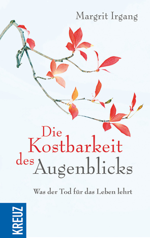 Die Kostbarkeit des Augenblicks von Irgang,  Margrit