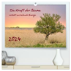 Die Kraft der Bäume (hochwertiger Premium Wandkalender 2024 DIN A2 quer), Kunstdruck in Hochglanz von Rogalski,  Solveig