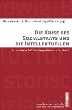 Die Krise des Sozialstaats und die Intellektuellen von Coutant,  Isabelle, Hübel,  Thomas, Lebaron,  Frédéric, Mauger,  Gérard, Mejstrik,  Alexander, Noiriel,  Gérard, Sapiro,  Gisèle, Serre,  Delphine, Wadauer,  Sigrid