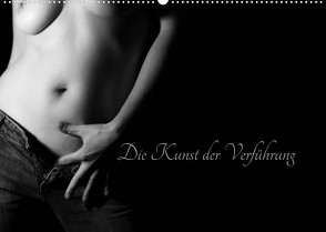 Die Kunst der Verführung (Wandkalender 2023 DIN A2 quer) von Pi,  Dora