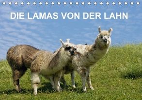 DIE LAMAS VON DER LAHN (Tischkalender 2018 DIN A5 quer) von Albert,  Jutta