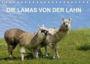 DIE LAMAS VON DER LAHN (Tischkalender 2020 DIN A5 quer) von Albert,  Jutta