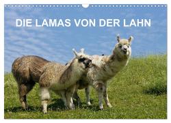 DIE LAMAS VON DER LAHN (Wandkalender 2024 DIN A3 quer), CALVENDO Monatskalender von Albert,  Jutta