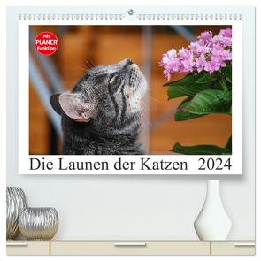 Die Launen der Katzen 2024 (hochwertiger Premium Wandkalender 2024 DIN A2 quer), Kunstdruck in Hochglanz von Kropf,  Anna