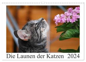 Die Launen der Katzen 2024 (Wandkalender 2024 DIN A3 quer), CALVENDO Monatskalender von Kropf,  Anna