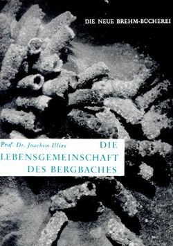 Die Lebensgemeinschaft des Bergbaches von Illies,  Joachim