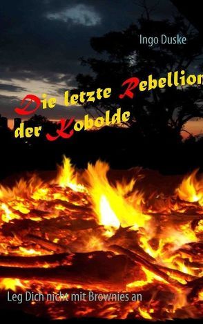 Die letzte Rebellion der Kobolde von Duske,  Ingo