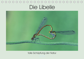 Die Libelle – tolle Schöpfung der Natur (Tischkalender 2020 DIN A5 quer) von Rufotos