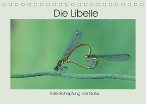 Die Libelle – tolle Schöpfung der Natur (Tischkalender 2022 DIN A5 quer) von Rufotos