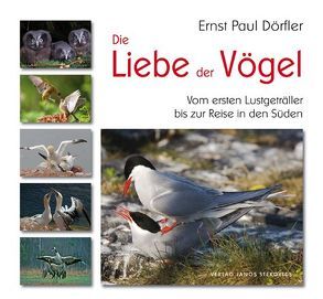 Die Liebe der Vögel von Aurand,  Peter, Dörfler,  Ernst Paul, Hinsche,  Thomas, Klaeber,  Wolfgang, Otto,  Wolfram, Straube,  Ina